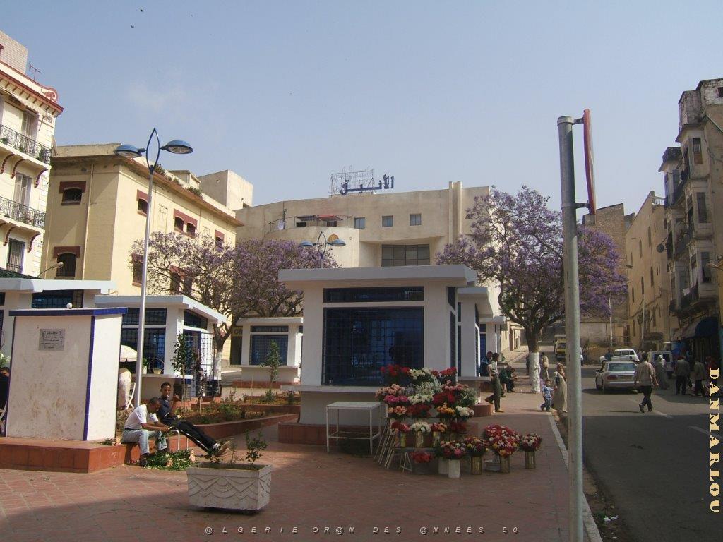 oran 254.jpg